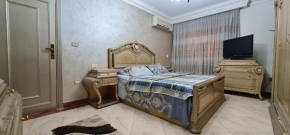 Comfy 3 Bedrooms Apartment in Cairo 96